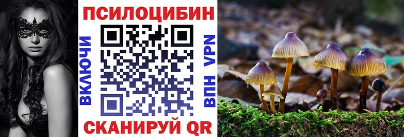 Галлюциногенные грибы прущие грибы  Чехов 
